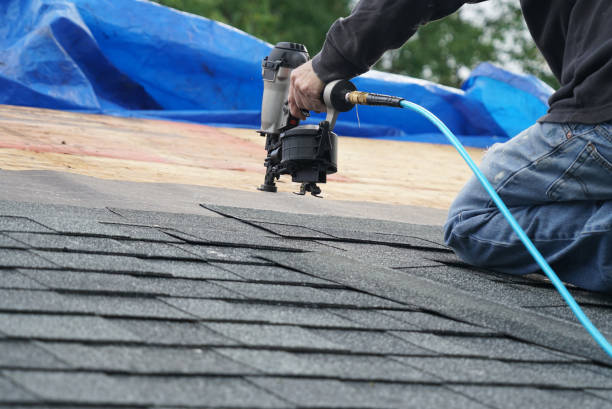 Best Roof Maintenance and Cleaning  in Los Fresnos, TX