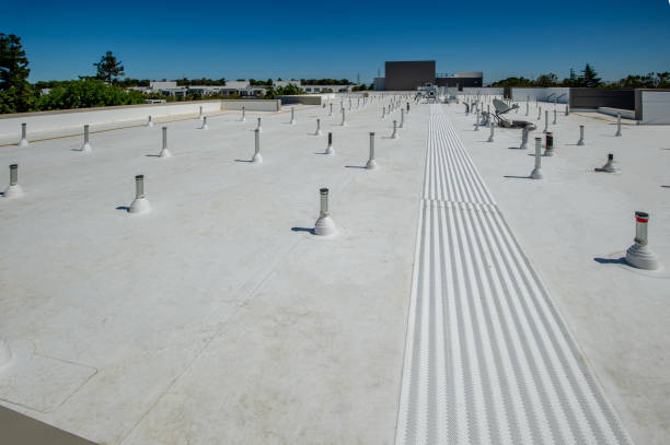 Los Fresnos, TX Roofing Services Company